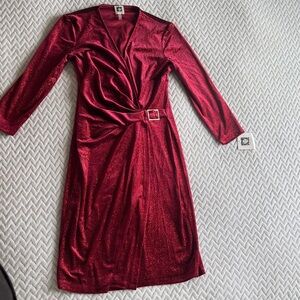 Anne Klein Red Velvet ❤️🫦Shimmering Red Long Sleeve Dress